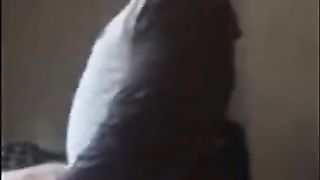 Craigslist Cub Breeds Bear Pussy