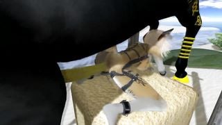 Horse Sex on the Beach