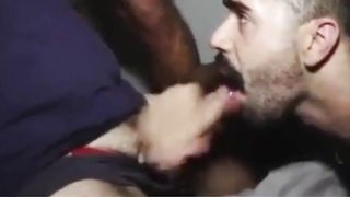 alla troia piace troppo il cazzo..uno non gli basta