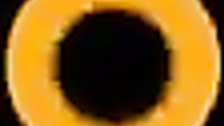 Flight Attendant Screamed for my Dick on Air Plane on my Vacation