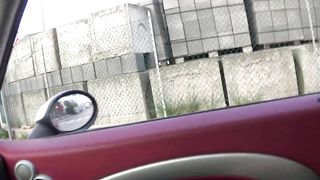 Another Day of Madness during the Coronavirus Quarantine