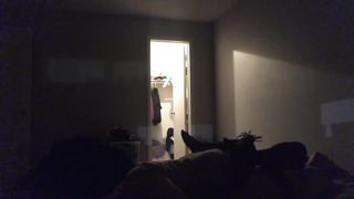 Redhead Teen Gets Ate until she Cums