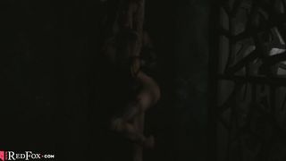 Red Fox Dancing Passionate Striptease in Lingerie - Soft Erotica