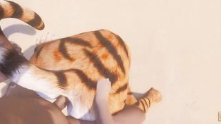 Wild Life / Furry Girl Fucking POV Compilation 