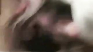 GF gives me BJ while Fucking and Cuming on Friends Huge Cock