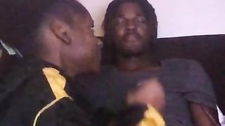 Giving my Fiancé a Blowjob