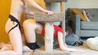 Lesbian Girlfriend Gets Stuck in Cat Tree