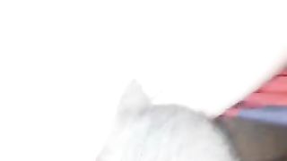 Oaktree Enjoying a Tight Wet Kitty