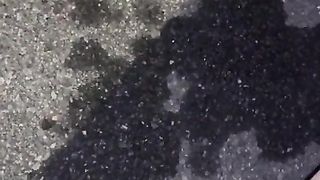 That Car is back again but this Time I Successfully Power Pissed all over It!