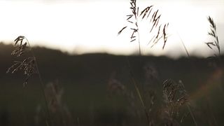 A Teacher Season 1 Episode 5