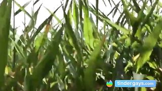 Summer, Sun, Corn & Wanking & Piss