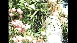 R.I.P. SAVANNAH "SHANNON MICHELLE WILSEY"