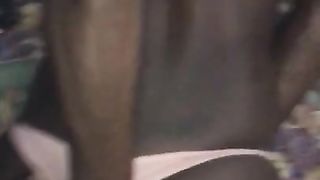 Ghetto Milf Ebony WAP Pussy