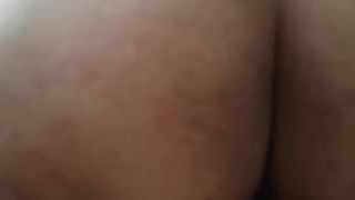 Обкатала нового жеребца