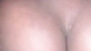 Tribbing with the next door neighbor