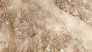 desi girl enjoy with boyfriend