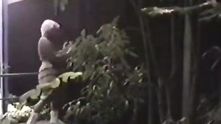 German classic bizar