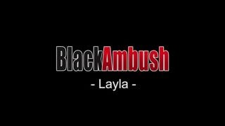 Layla Blackambush