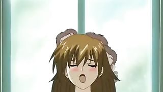 Green Green Erolutions