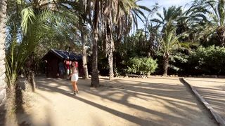 Beautiful girl shows her body and sucks a dick in a city park