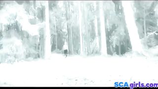 suomalainen vilkkuja