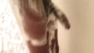 Shower Time | OfficialBlackMamba