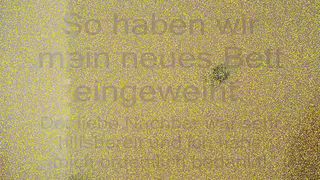 SweetAnne - PA - Betteinweihung mit dem Nachbar