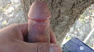 Linda joven universitaria la estan cogiendo en el camino, la tienen en cuatro