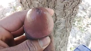 Linda joven universitaria la estan cogiendo en el camino, la tienen en cuatro