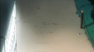 A Walk Through The Town