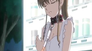 A Walk Through The Town