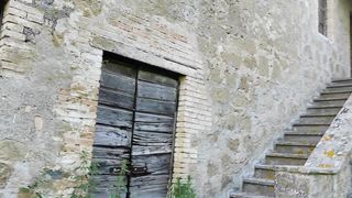 Ditalino selvaggio in un vecchio casale abbadonato