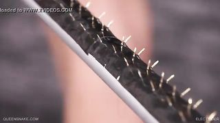 Queensnake.com - Electrider 1