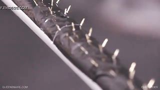 Queensnake.com - Electrider 1