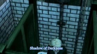 Luna Lovegood Secret Chamber