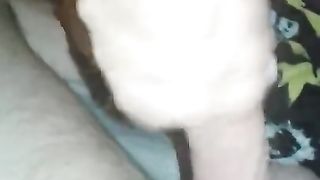 Male Chastity Ruined Orgasm