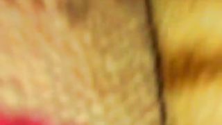 my aunty s. nighty upscrit