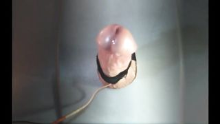 ESTIM Huge Cumshot - Handsfree Cumming with Electro Torture on Big Cock