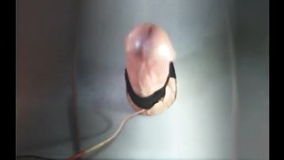 ESTIM Huge Cumshot - Handsfree Cumming with Electro Torture on Big Cock