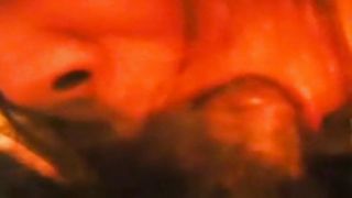 japan amateur bdsm enema homemade sibari