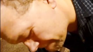 Just The Swallows - MWM Swallows 14 Loads