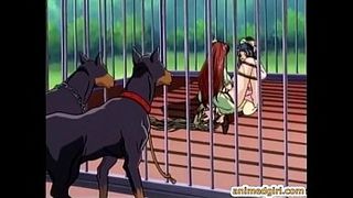 Bondage hentai gets squeezed her tits and dildoed wetpussy