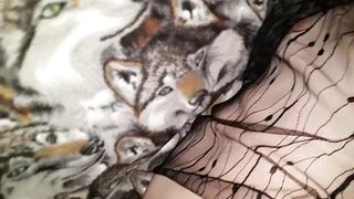 FUCKED a. (Daydream Believer)