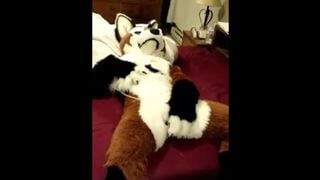 Fursuit Masturbation