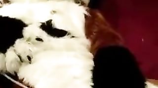 Fursuit Masturbation