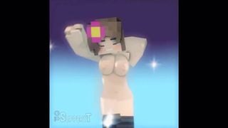 Compilation Minecraft