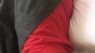 Brown Suga s. surprise