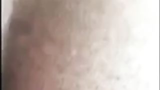 Verbal White Breeds Beggin Biack Bitch