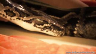 My Desert Queen From India