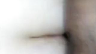 White Sissy Bitch Whore for BBC